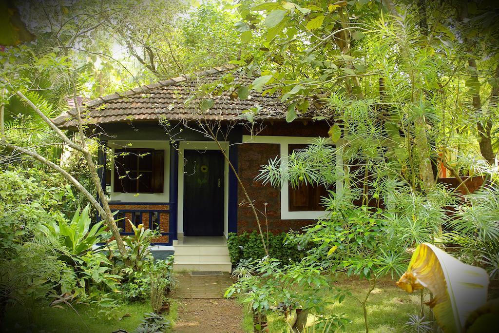 Jickys Nest Hotel Varkala Quarto foto
